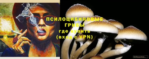 твердый Волосово
