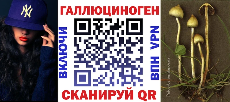 Псилоцибиновые грибы Psilocybine cubensis  закладки  Электроугли 